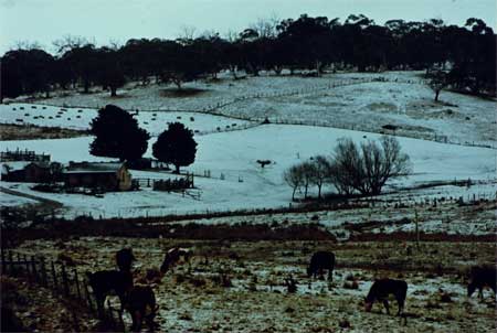 Snow in the Southern Tablelands