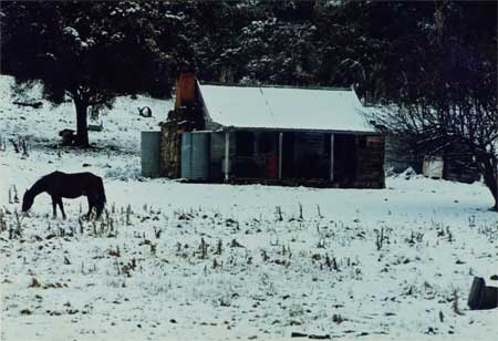 Snow in the southern tablelands