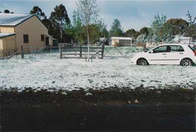 Autumn 2010